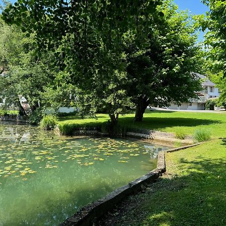 レ ロッジズ デュ ラック Saint-Alban-de-Montbel エクステリア 写真
